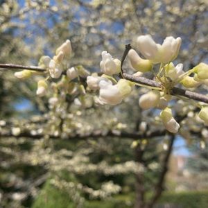 Meet your Posher, Daniela